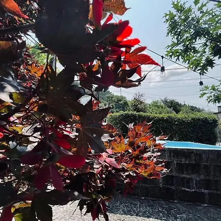 Rustic Geres Relax&unwind Villa